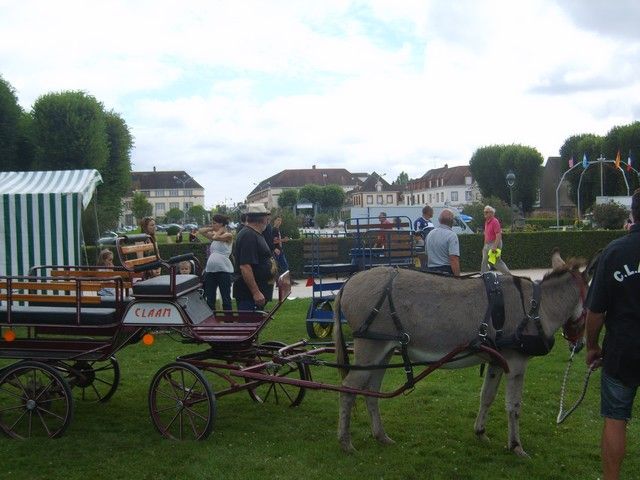 fete 2016 (27).jpg